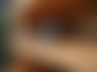 Stylish Eyewear Solutions at Viseeon Group