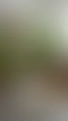 Urban Jungle Style by Crocheteria