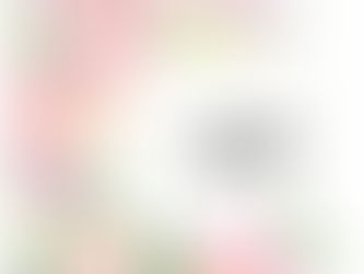 Nástěnný kalendář 2024 ZDARMA ke stažení