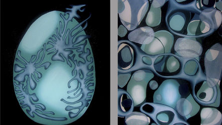 Jabier Muguruza-Fiordoan