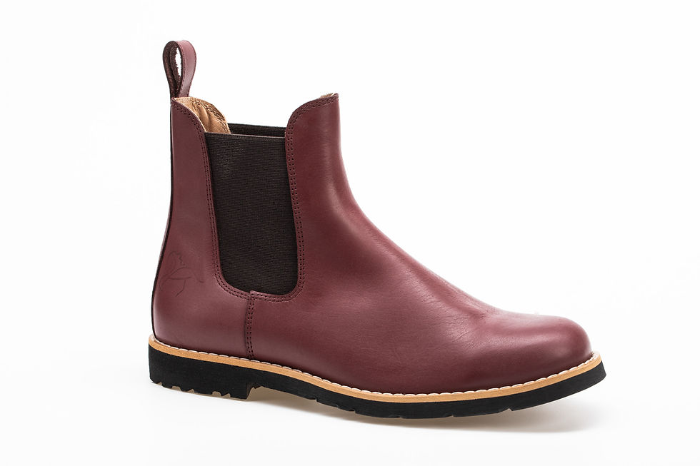 Miniature : Bottines cuir Gabriel