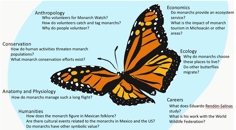 Monarch Illustration surrounded by text: Anthropology Who volunteers for Monarch Watch? How do volunteers catch and tag monarchs? Why do people volunteer? Conservation How do human activities threaten monarch populations? What monarch conservation efforts exist? Anatomy and Physiology How do monarchs manage such a long flight? Humanities How does the monarch figure in Mexican folklore? Are there cultural events related to the monarchs in Mexico and the US? Do monarchs have symbolic value? Economics Do monarchs provide an ecosystem service? What is the impact of monarch tourism in Michoacán or other areas? Ecology What are the advantages and disadvantages of living in the areas that monarchs migrate to and from? Do other butterflies migrate? Careers What does Eduardo Rendón -Salinas study? What is his work with the World Wildlife federation?