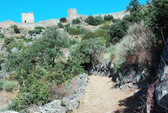 img4-passeiospedestre.jpg