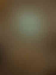 Kroonluchter traphal paleis graaf van vlaanderen kristal en massief brons