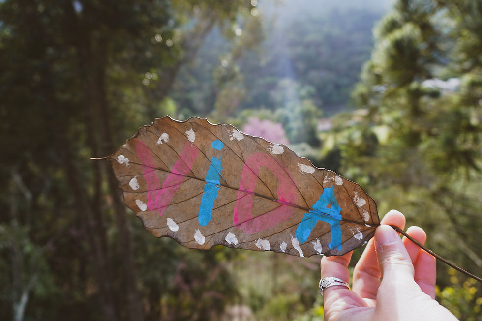 Mão segura uma folha seca com letras rosa e azul pintadas, contra fundo de floresta desfocado e ensolarado.