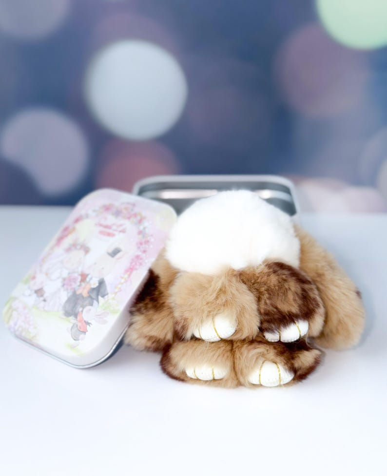 Thumbnail: Bunny Lulu Plush Toy, Bunny Lulu Series, Viral Plush Toy, Bunny Soft Plush, Bun