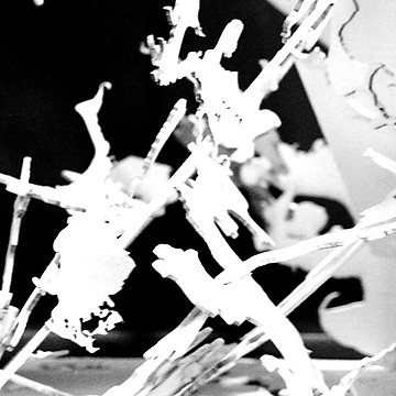 DSC_1013_edited_edited.jpg