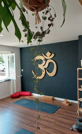 Salle de yoga Mantra OM