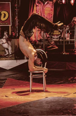 Artistik Show buchen