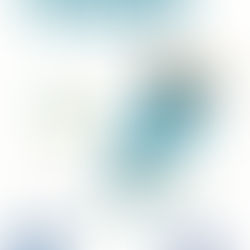 Yenişehir BİLSEM Erasmus+ Projesi Kapsamında Brno’da