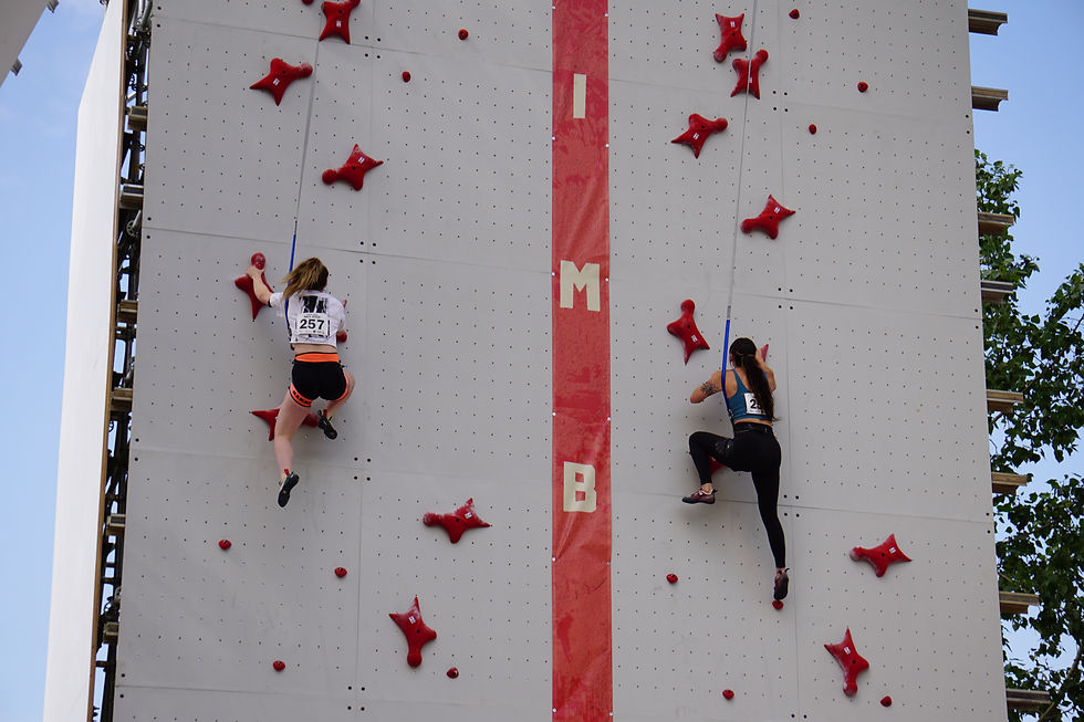 Speed Climbing Competition