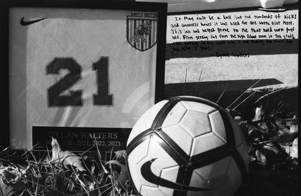 Dylan Still Life (New) copy