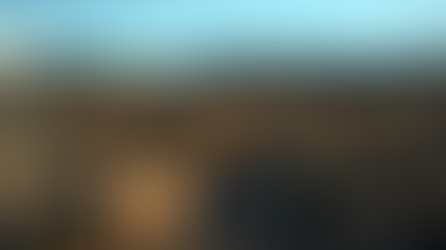 Wild Mustangs Running through a valley in Nevada