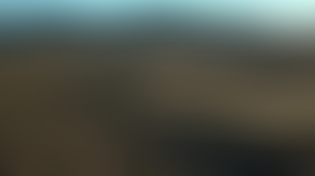 Wild Mustangs Running through a valley in Nevada