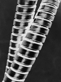 claudia-bokel-lab-foto-contemporanea-08.