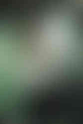 Terminal Sleep performing at 2000trees