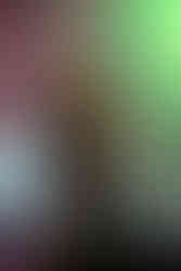 Lake Malice performing at 2000trees