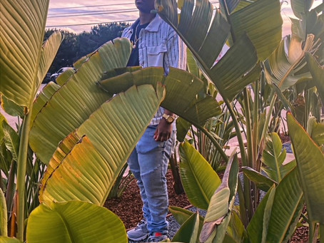 Kash Young Releases Sultry Single "Do It All"