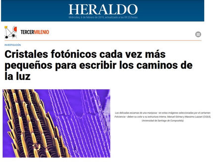 Natural photonic crystals