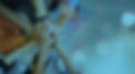 backgrounds2.jpg