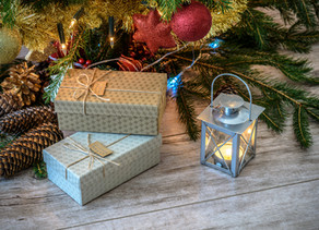 Holiday Gift Guide