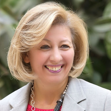 H.E. Haifa Najjar