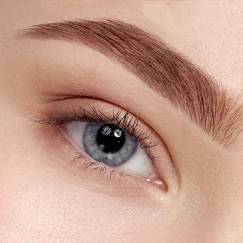 HD Brows copy.jpg