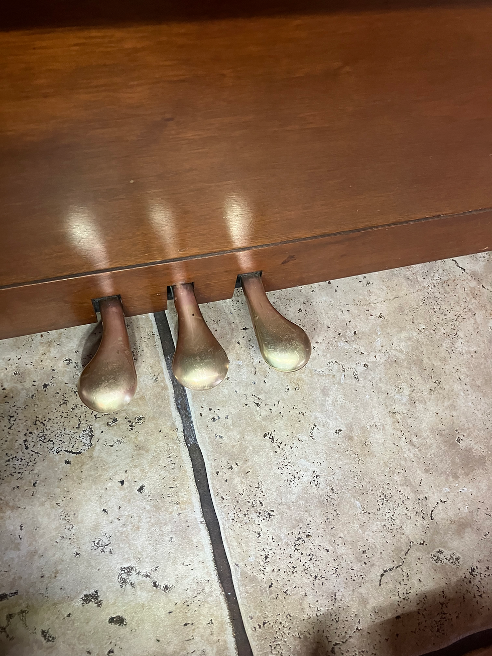 Piano Pedals Polish