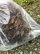 害虫駆除・空気環境測定