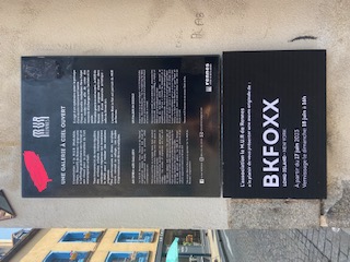 swiss guesthouse sitters remplacement maison d'hôtes guesthouse sitter bed and breakfast bkfoxx street art graff graffiti rennes