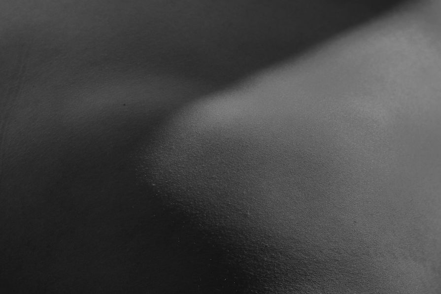Skin Texture_edited.jpg