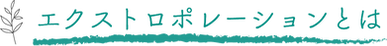 エクストロポレーションとは