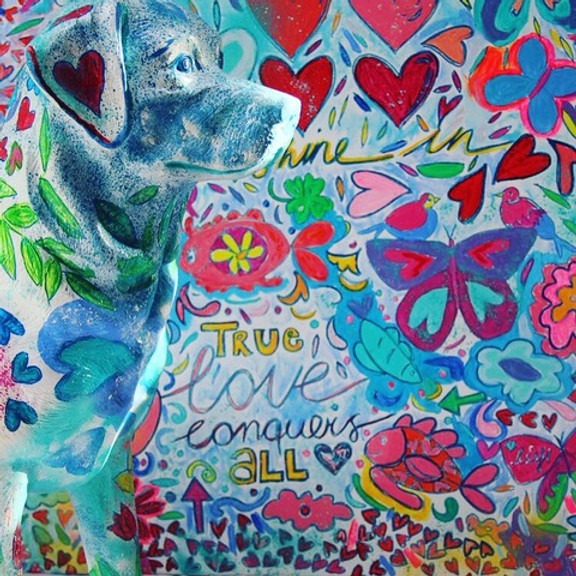 Colourfull cows