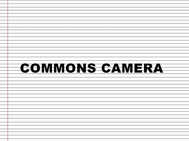 COMMON CAMERAS.jpg
