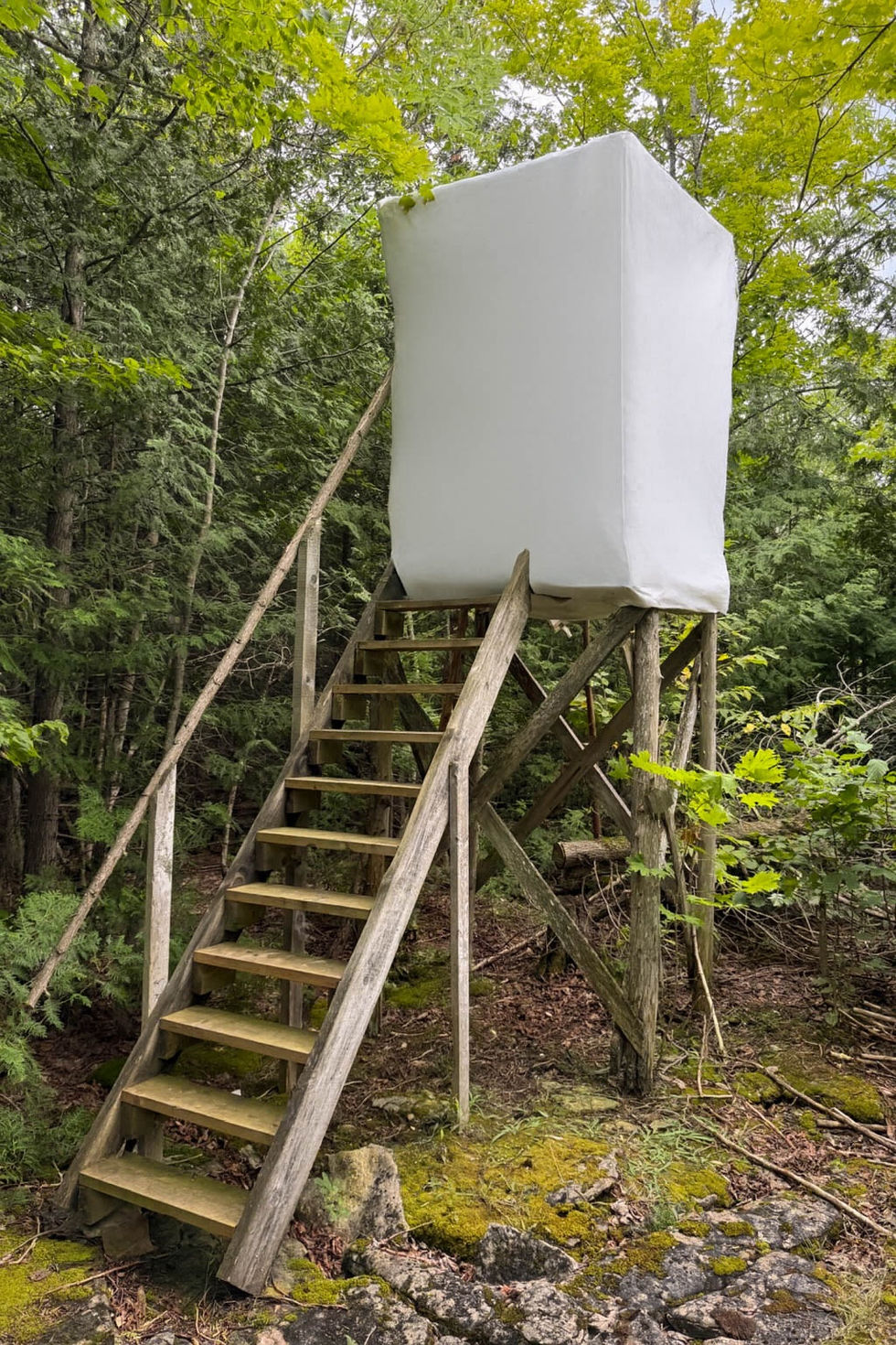 The Den of Nothingness