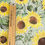 Thumbnail: EXCLUSIVE Watercolour Sunflowers - ITY & Bubble Crepe