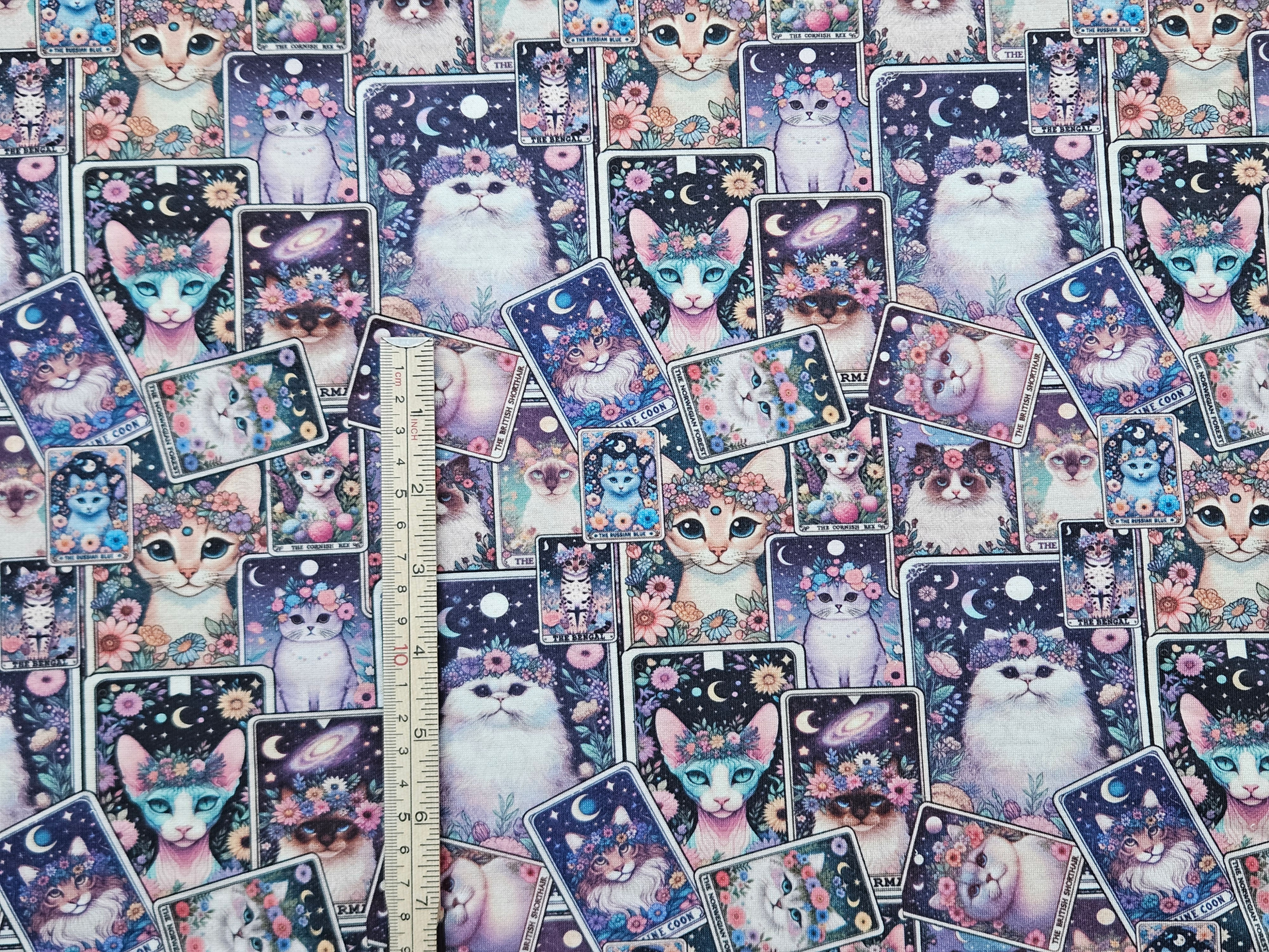 3M DEAL - Tarot Card Cats (WH1604)
