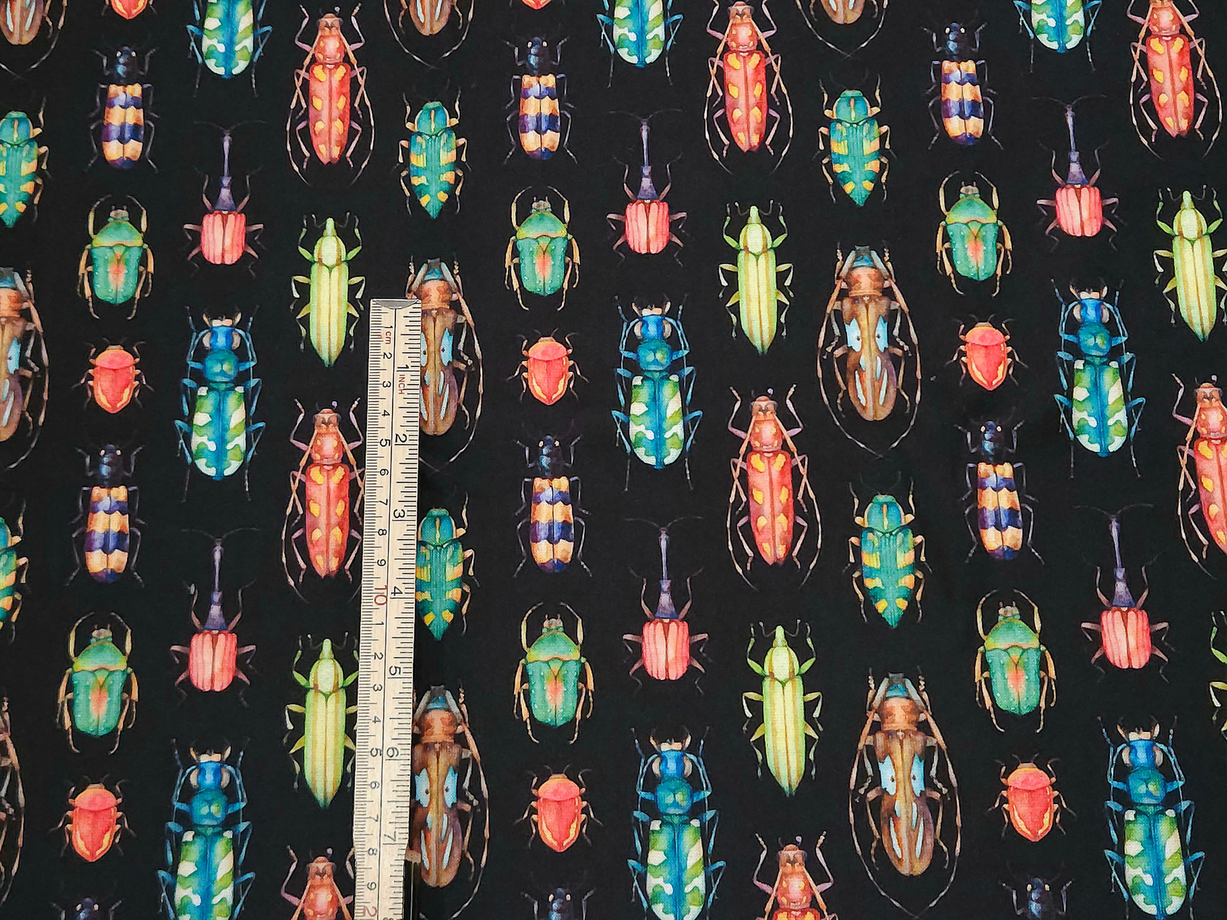 3m for £9* Mini Beasts (WH1211)