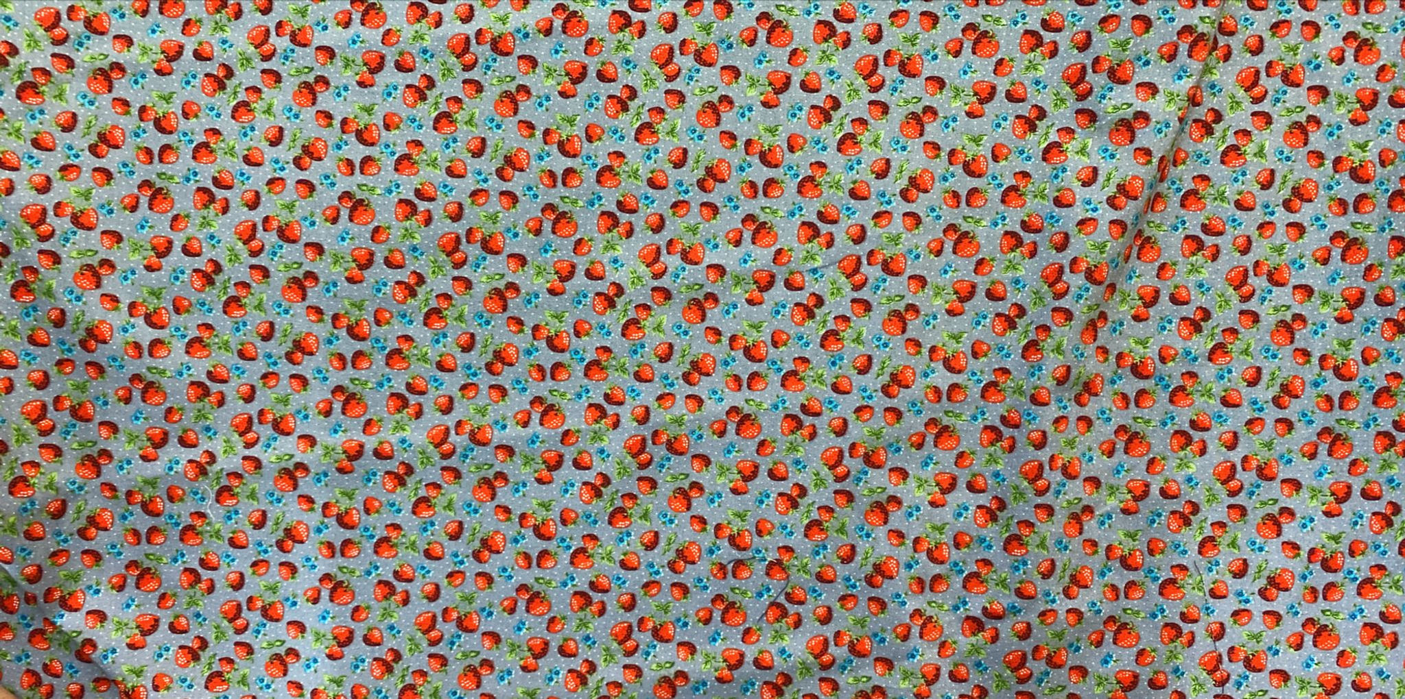 Strawberries on Dusty Blue Background 100% Cotton (Woven)