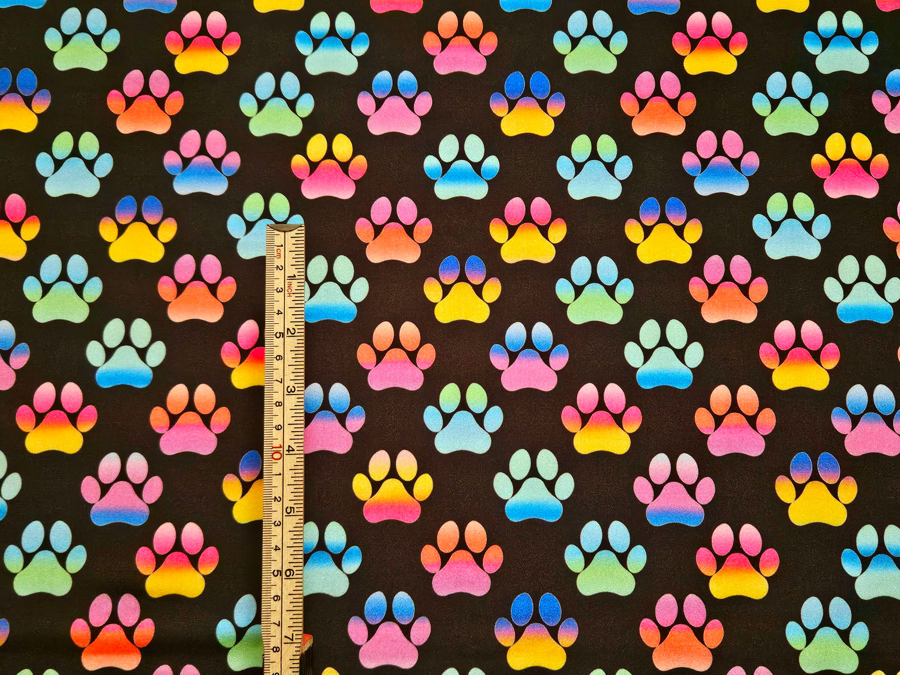 EXCLUSIVE Rainbow Pawprints