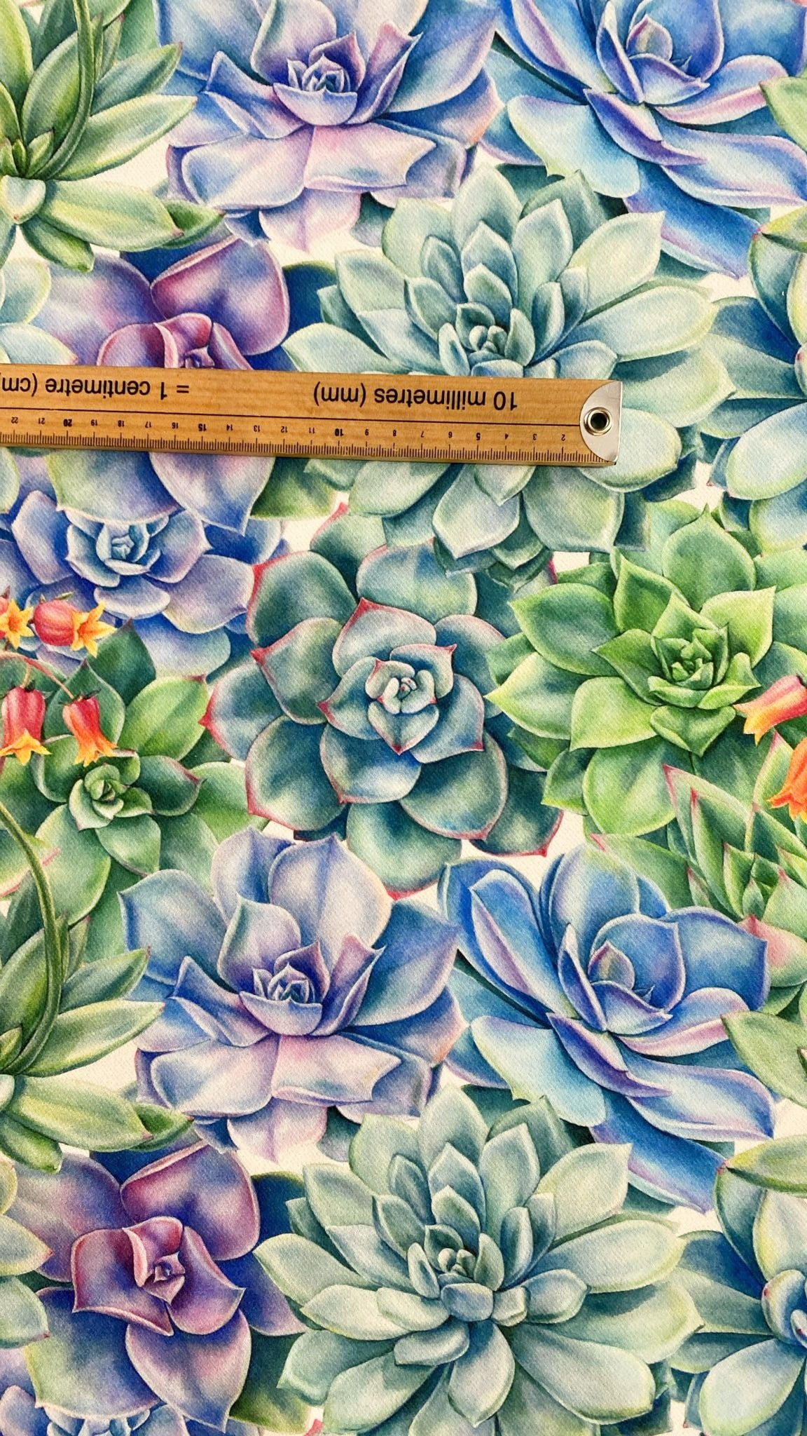3m for £9 Watercolour Succulent Flowers Scuba Twill (WH98)