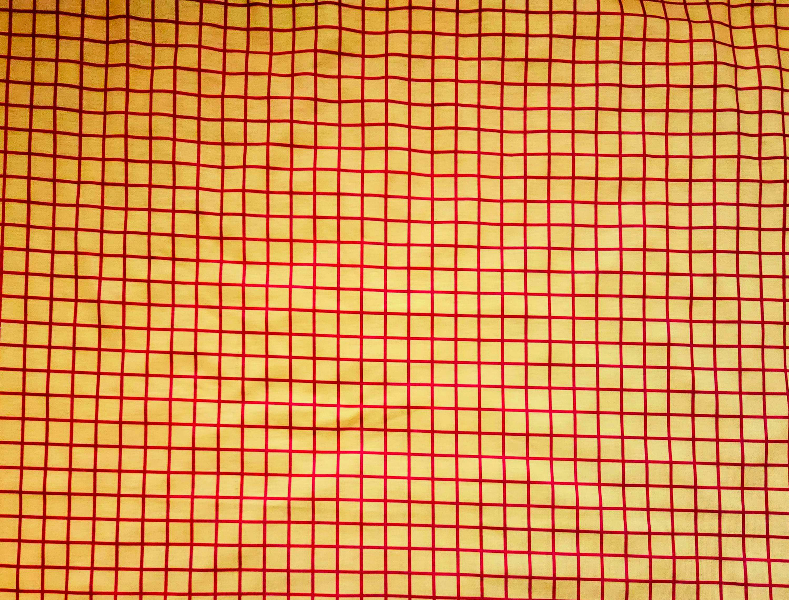 EXCLUSIVE Cowboy Plaid (Mustard and Red)