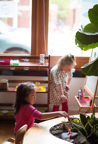 Wildflower Montessori School
