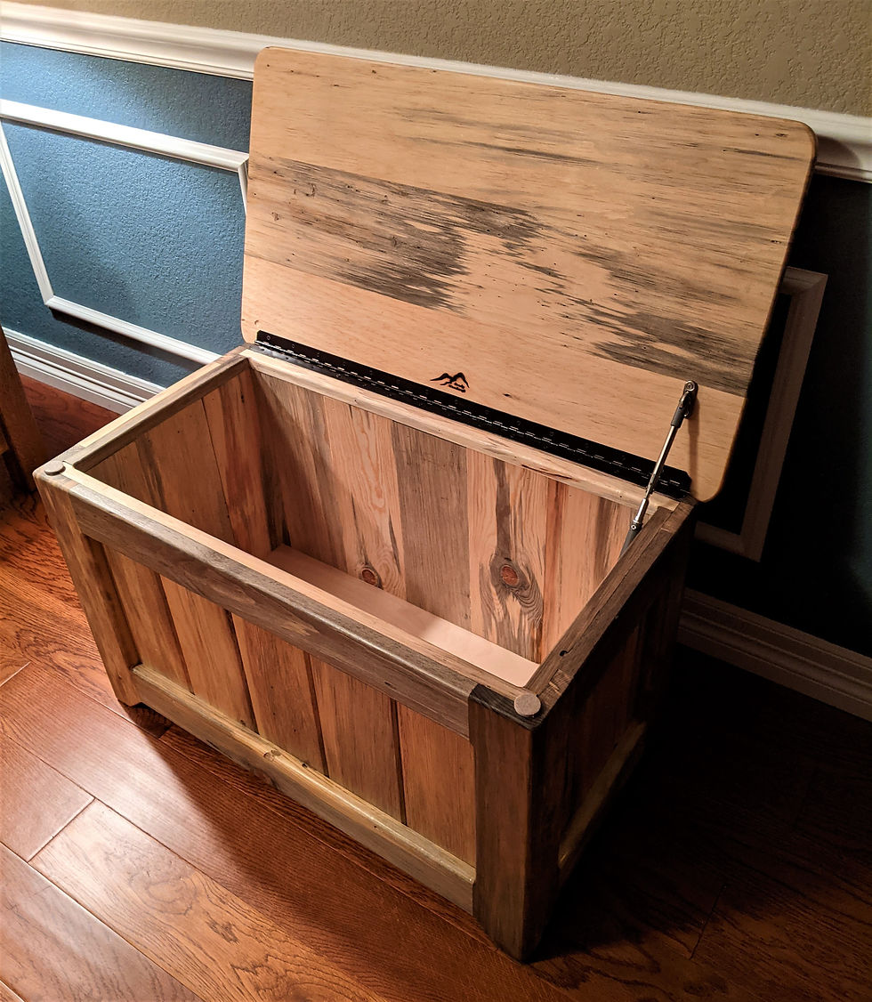 Beetlekill Toy Box Interior Detail