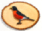 Robin