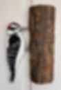 Woodpecker Hanging