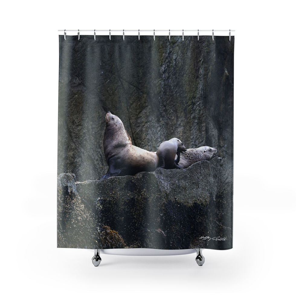Seals Shower Curtain