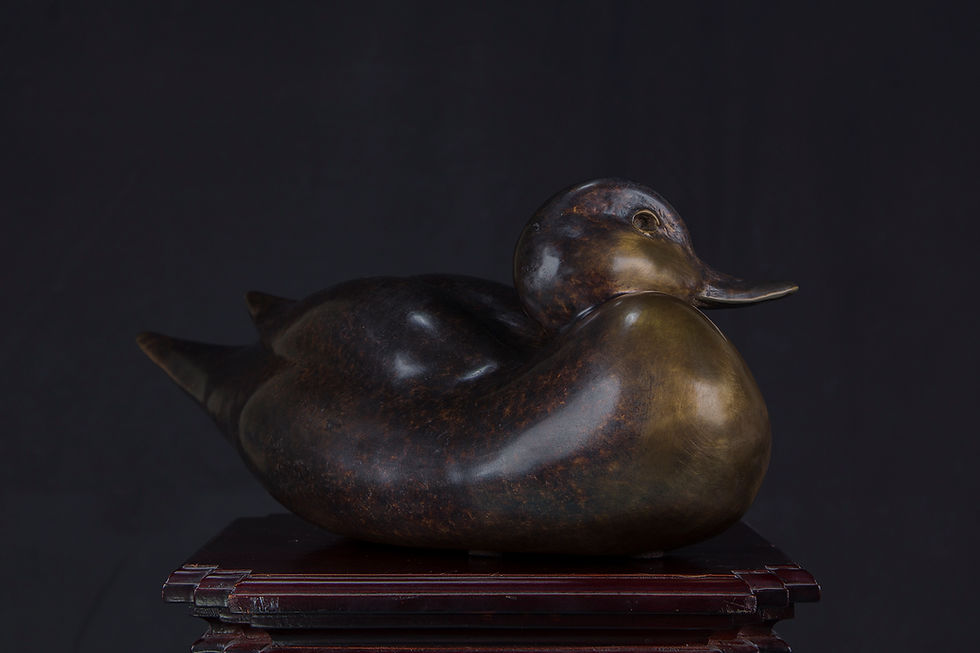 Thumbnail: Anniversary Pintail Hen, Large