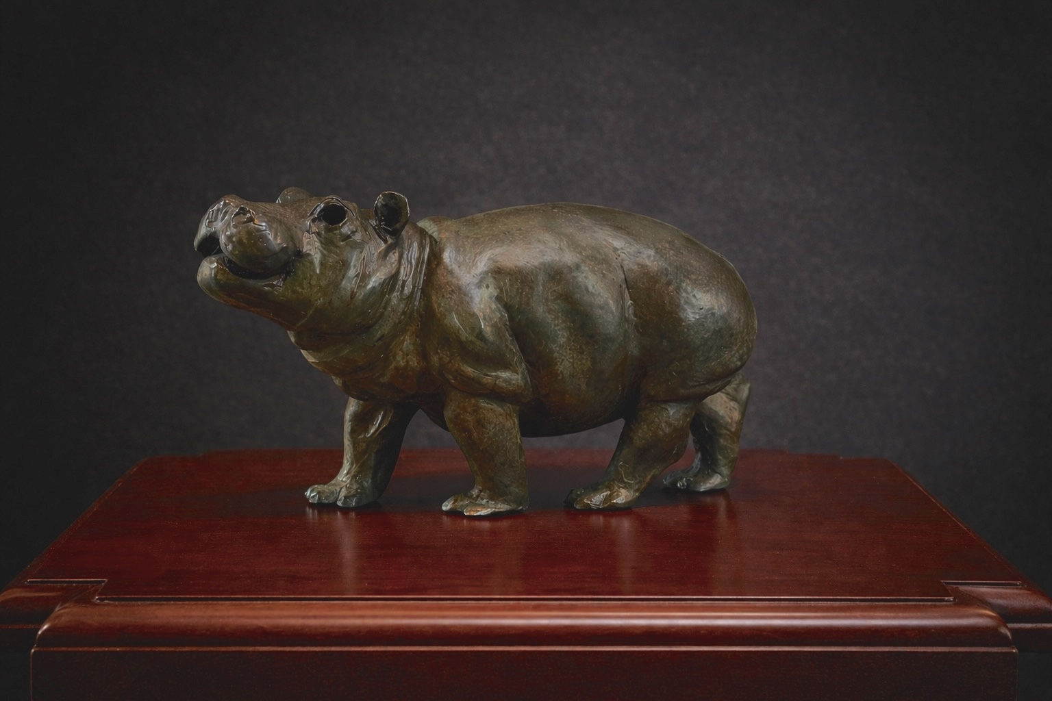 Baby Hippo