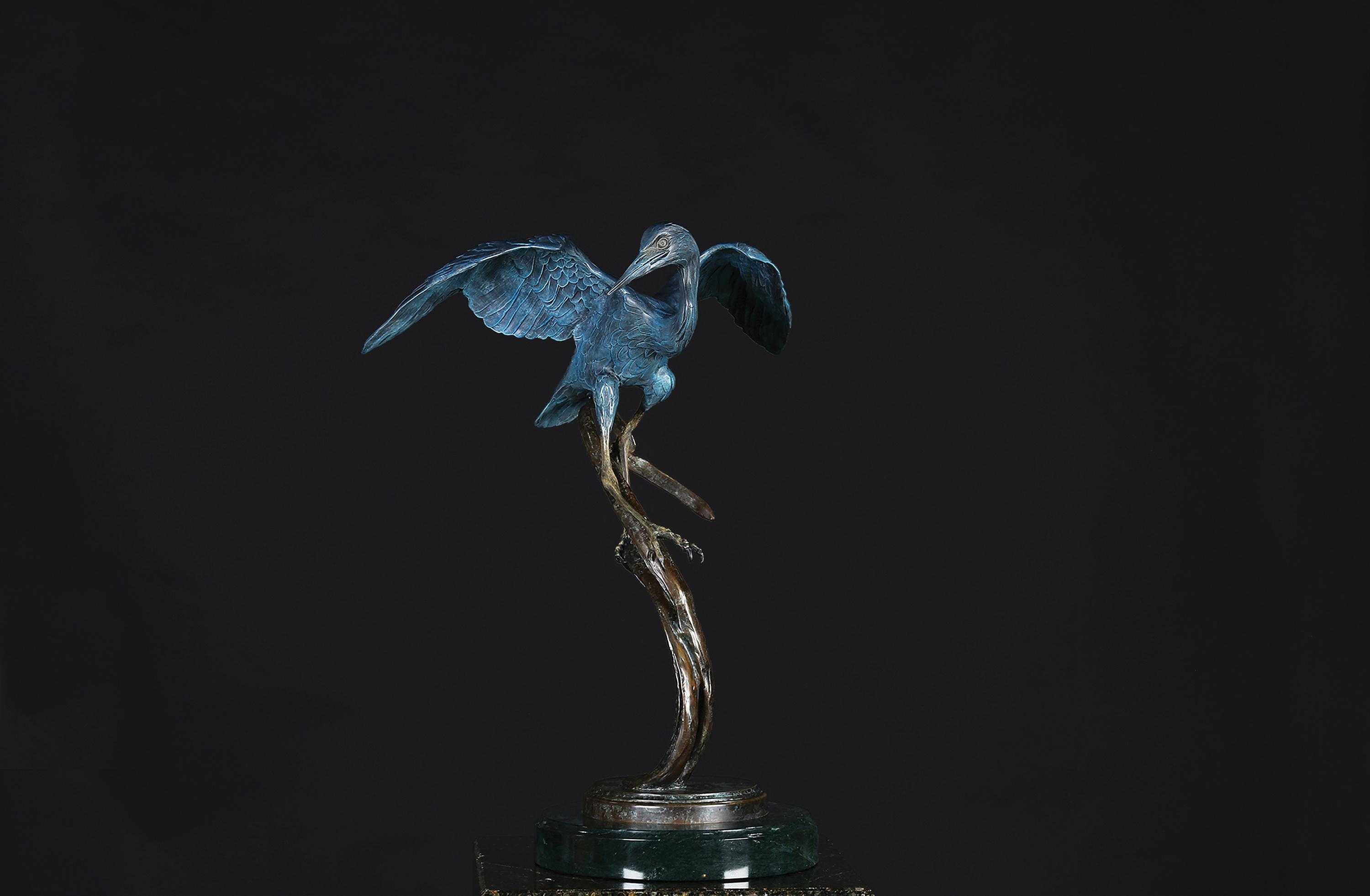 Little Blue Heron Balancing